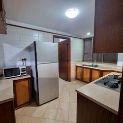 Parc Vista (D22), Condominium #504128651